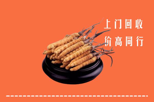 收购行情：科尔沁右翼前旗冬虫夏草回收多少钱每克