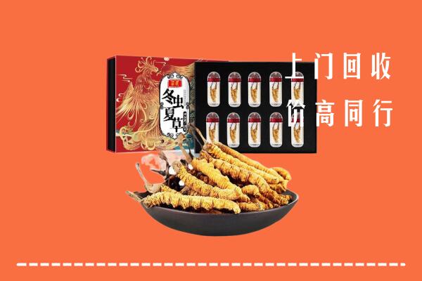 科尔沁右翼前旗回收虫草